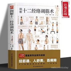 促銷 【熱銷5000萬 件】正版 圖解十二經絡調筋術書 十二經筋疏通法全圖解自學中醫按摩書 番茄優選, 彩繪圖解簡易敲打通經絡,正版