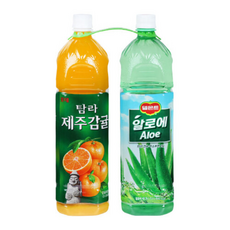 제주감귤+알로에-, 10개, 1.5L