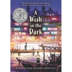 A Wish in the Dark : 2021 뉴베리 아너 수상작 : 2021 Newbery Honor, Candlewick Press (MA)