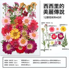 乾花diy 壓花DIY押花材料包寫真花瓣書籤真花滴膠幹樹葉植物標本, 1個, 西西里的美麗傳說(40片):1個