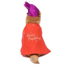 Disney for Pets Hocus Pocus 메리 샌더슨 마녀 코스튬 라지 | 강아지용 할로윈 코스튬 공식 Disney for Pets 제품