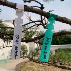 타이 식물 이름표 100P 나무팻말