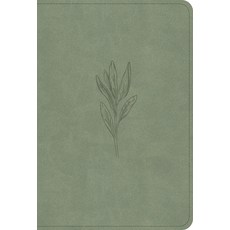 (영문도서) NASB Large Print Compact Reference Bible Sage Suedesoft Leathertouch Imitation Leather, Holman Bibles, English, 9798384509455