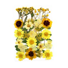 shangren 진짜 말린 잎 꽃 다채로운 눌러진 꽃 데이지 공예 수지 보석 만들기 예술 공예 diy 비누 양초 만들기, 0.1-3cm, 말린 꽃, 옐로우