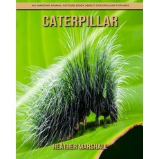 Caterpillar: An Amazing Animal Picture Book about Caterpillar for Kids Paperback, Independently Published