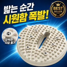 Bodyflow 지압스텝퍼 하체자극 에어스텝퍼 인체공학적 돌기, 2세대 베이지