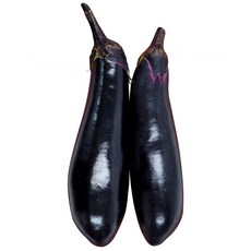 신선한 국내산 가지 GAP 스마트팜 당일수확 특품, 가지_550g(5입), 1개