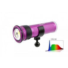 Pablo潛水攝影專賣店 Keldan Video 8X 15000流明 CRI 95 高顯色水下攝影燈，專業級深海補光照明