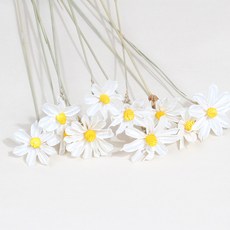 화연양화 드라이플라워 소프트 내츄럴 데이지 감성꽃 단색 10개입