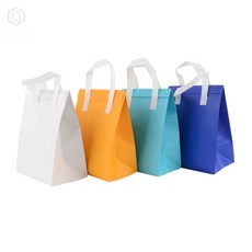 컬러 아이스백 보온보냉 손잡이가방 쿨러백 나들이, 대 - 하늘색