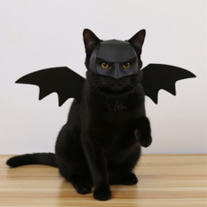 개꿀굿즈 고양이 배트맨 날개 가면 마스크 집사 선물