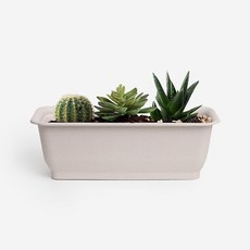 실내식물재배 다육이화분 미니텃밭용기식물재배용기 다육이플랜터 화분텃밭 실내용상자