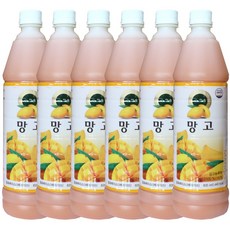 청솔 망고 음료 원액, 835ml, 6개