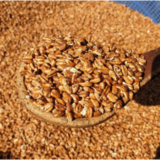 구수한 사람들 속까지튀긴 볶은귀리 뻥튀기 귀리퐁, 1개, 500g