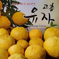 농가직송 고흥 유자 생과 생유자 햇유자, 무선별 못난이 10kg, 1박스