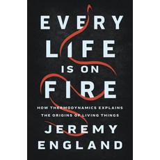 Every Life Is on Fire: How Thermodynamics Explains the Origins of Living Things Hardcover, Basic Books