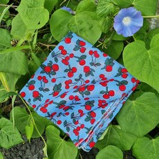 앵두 블루 (손수건 스카프)