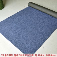 학교 빌딩 빗물 미끄럼 오염 방지 롤 현관 매트 회색 아파트 고시텔 신발털이 출입구