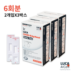[유통기한 '27년] 루카 코로나19 자가검사키트, 2개입, 3개
