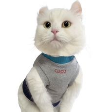 코코테일 아기고양이옷 고양이옷 뚱냥이 고양이 티셔츠, 블루 고양이, 1개