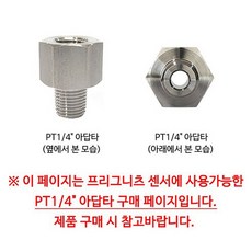 독일 PRIGNITZ SPT-I2 P1A 압력센서 진공센서, 수나사 PT1/4", 1개