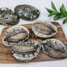 임금님 5-6미 전복 1kg, 1개