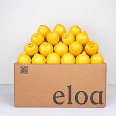 프리미엄 직수입 미국산 팬시레몬 저속노화 레몬, 30개, 대과 (개 당 140g 내외)