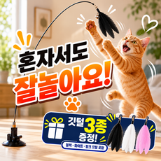플리터스 고양이 낚시대 장난감 사냥놀이, 1세트, 블랙