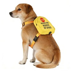 Anxious 강아지 여행 가방 Respect My Space 백팩 산책 슬로건 야외 하네스 간식 파우치 (Anxious Dog), Anxious 강아지 여행 가방 Respect My S