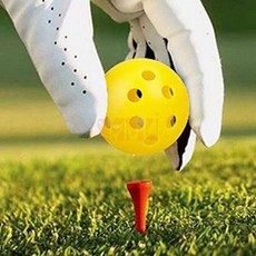 연습용 플라스틱 골프공 입문, 1개