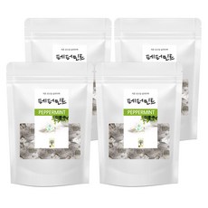페퍼민트 25티백 숲으로허브 삼각티백, 25g, 25개입, 4개