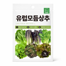 [주주씨앗] 유럽상추씨앗 1000립 유럽 모듬 상추씨 로메인 버터헤드 생채 6종 혼합 쌈 채소씨앗 종자, 1개