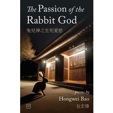 (영문도서) The Passion of the Rabbit God Paperback, Valley Press, English, 9781915606389