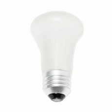 DDH 크립톤 60W 불투명 E26 베이스 캠핑전구 야외트리전구, 상세페이지 참조, 1개