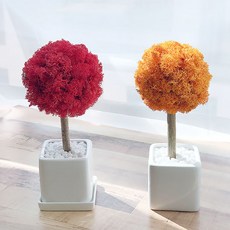 모스 토피어리 만들기 DIY키트-사각화분, 블랙(유광), 보라, 1개