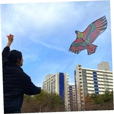 야외 레저 하늘 높이 날리기 맹금류 모양 대형 천 연 어린이 성인 공원 놀이 새, 1개
