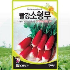 세계종묘 빨강 소형무 씨앗 500립 소형무씨 종자, 2개