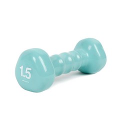 아이워너 PVC 삼각 아령, 1.5kg, 1개