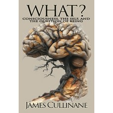 (영문도서)What?: Consciousness the Self and the Question of Being Paperback, Liminal Way Scriptorium, English, 9781919400105