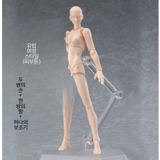 인체관절 피규어 바디 아트 근육 모형 해부학 교육용 디오라마 재료 실습용 완구, 1개, 2.0 피부색 여성