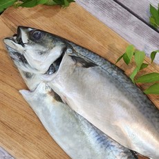 국내산 특대 자반 고등어 2미 4미 37-40cm내외 냉동고등어 겨울 손질고등어 성인팔뚝크기, 1박스, 특대 자반 고등어 2미 37-40cm내외