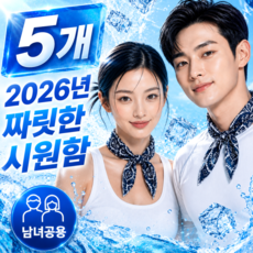 펠코스 쿨 스카프 아이스 쿨링, 5개, 블랙