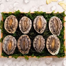 산지직송 해남 전복 대 1kg(12-13미)선물포장, 1개