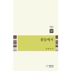 봄들에서:정일남 시집, 푸른사상, 정일남 저