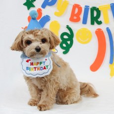 랄라댕댕 강아지 고양이 생일파티 돌잔치 턱받이 모자, 하늘, 1세트