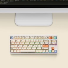 VARO V87 PASTEL 유무선 기계식 매크로 텐키리스 게이밍 키보드 (저소음민트축), V87 (저소음 민트축), 독자규격 스위치