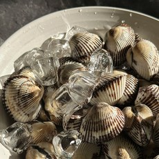 쓰리제이 [남해 꼬막] 바다향 가득 새꼬막 1kg 소 120미 내외 식탁 위 바다맛