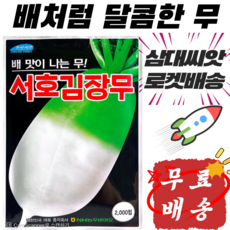 26년햇종자 삼대씨앗 독점 김장무 씨앗 서호김장무 2천립 농우바이오 달콤한 김장무 가을무 씨앗 배맛나는 무 씨앗 배무종자, 1개