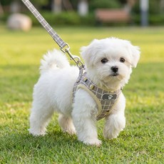 강아지 멜빵 끈 세트, 카키