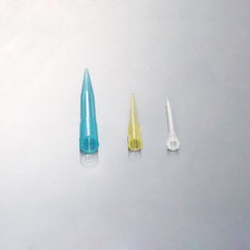 마이크로피펫 팁(Micropipettes Tips), B형
